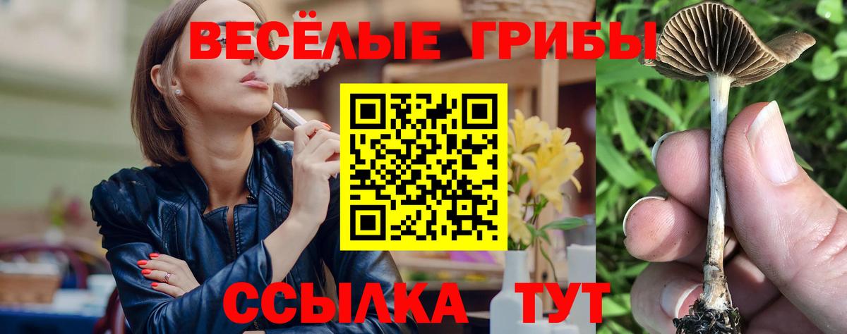 Троицк  даркнет сайт  Вход с VPN  Галлюциногенные грибы прущие грибы 